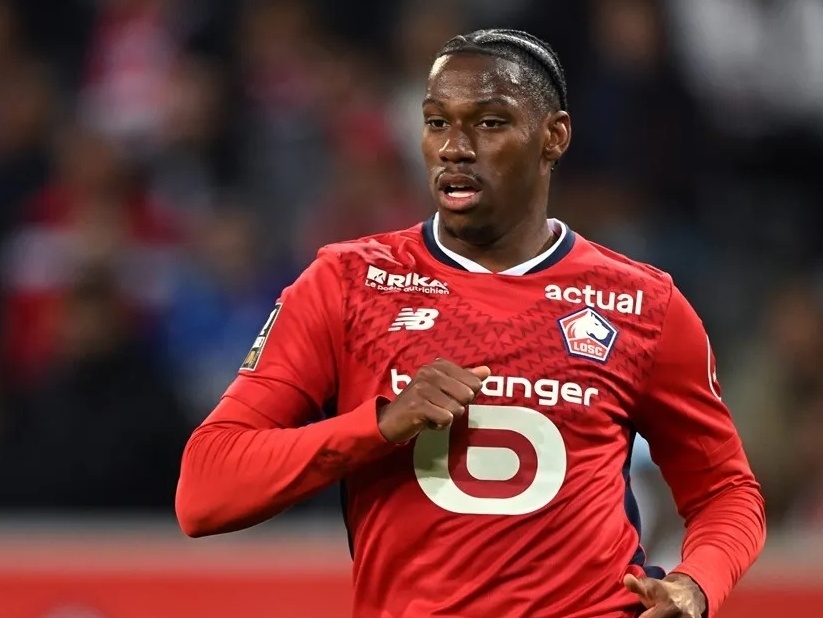 如果你需要 如果你需要