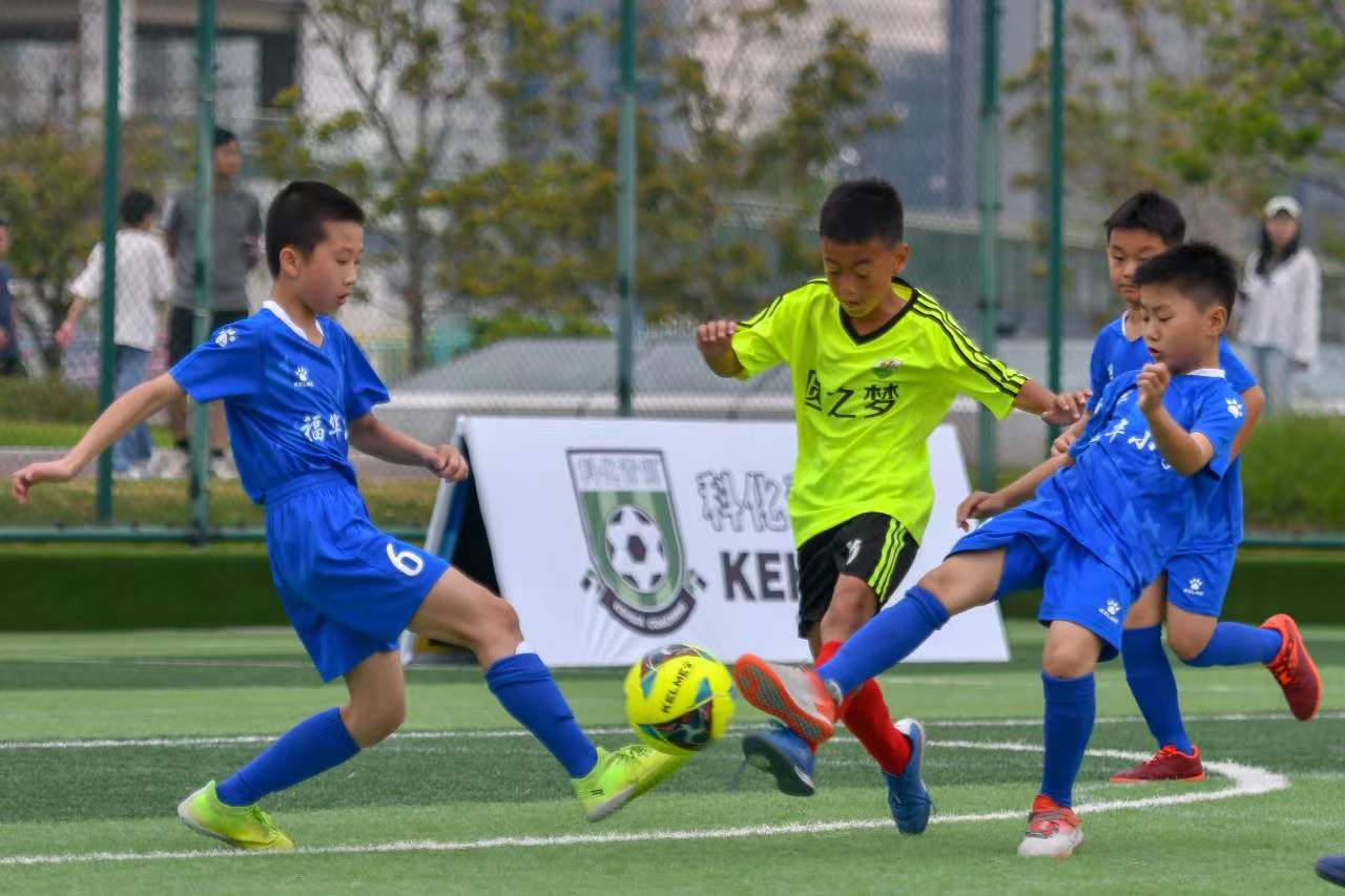 在全球大型 在全球大型