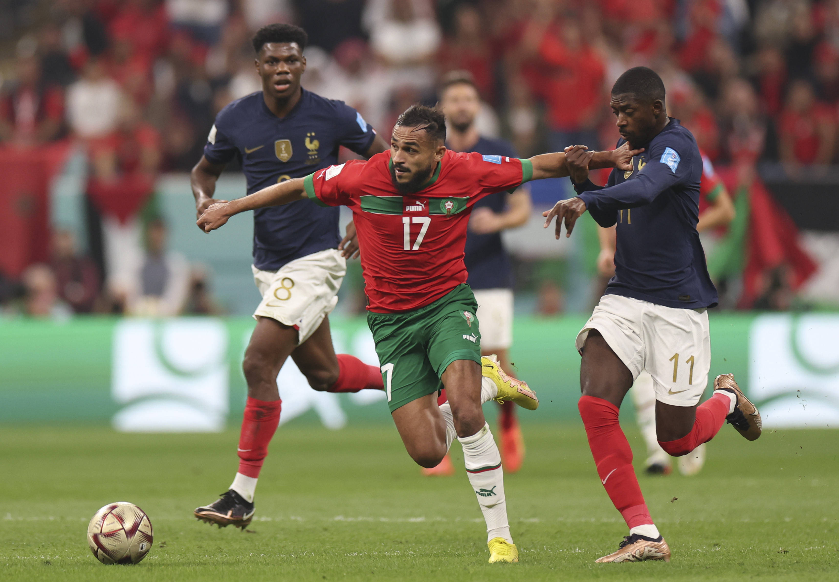 利用高效发 利用高效发